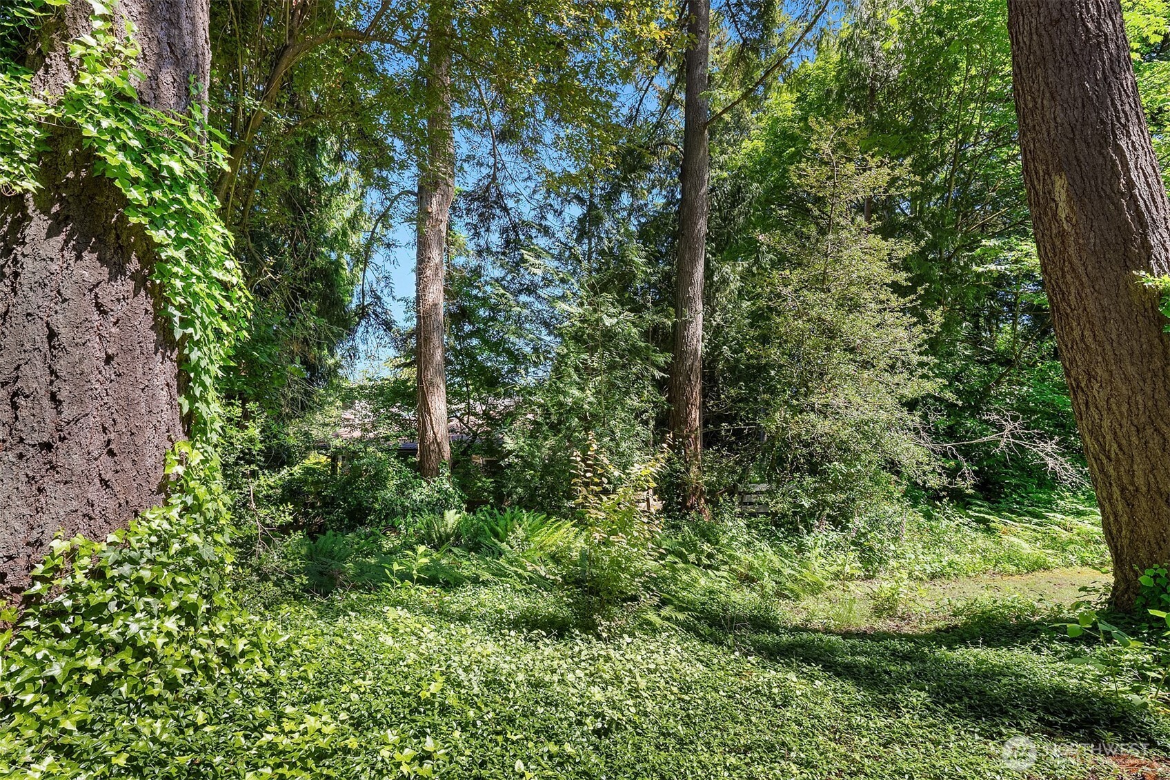 8108 138th Avenue NE Redmond WA 98052