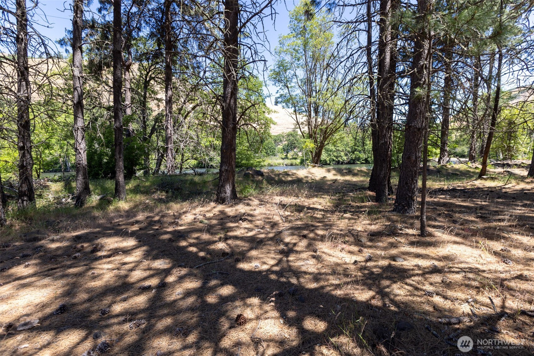 992 Highway 142 E Lyle WA 98635
