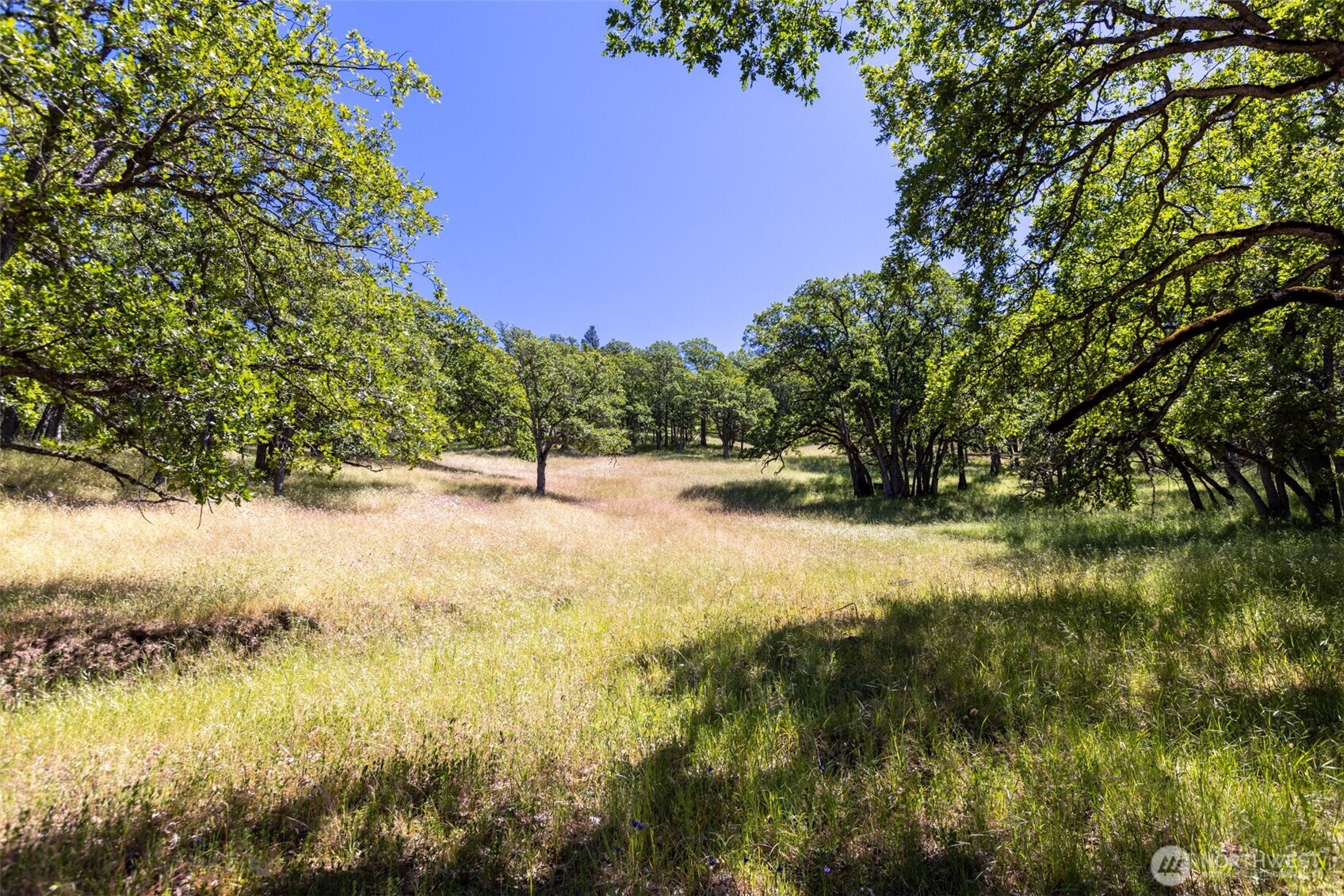 992 Highway 142 E Lyle WA 98635