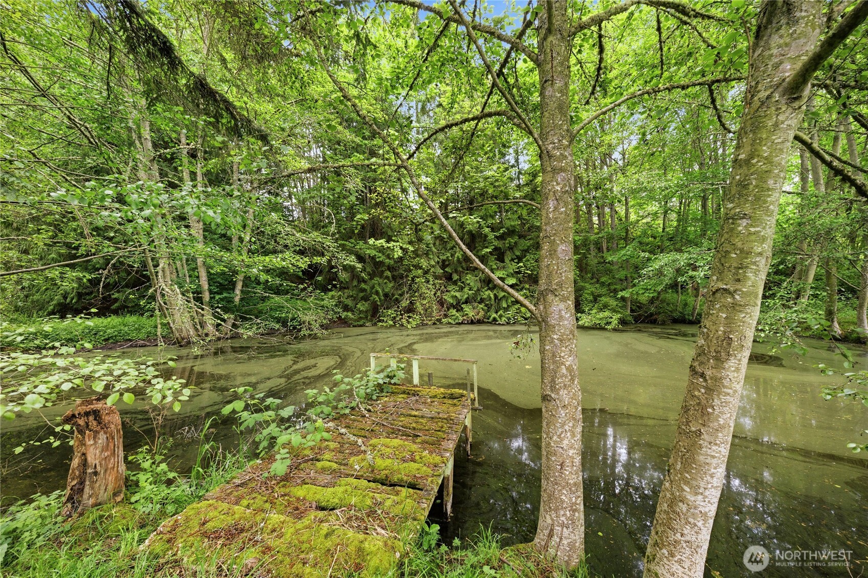 62 Roupe Road Sequim WA 98382