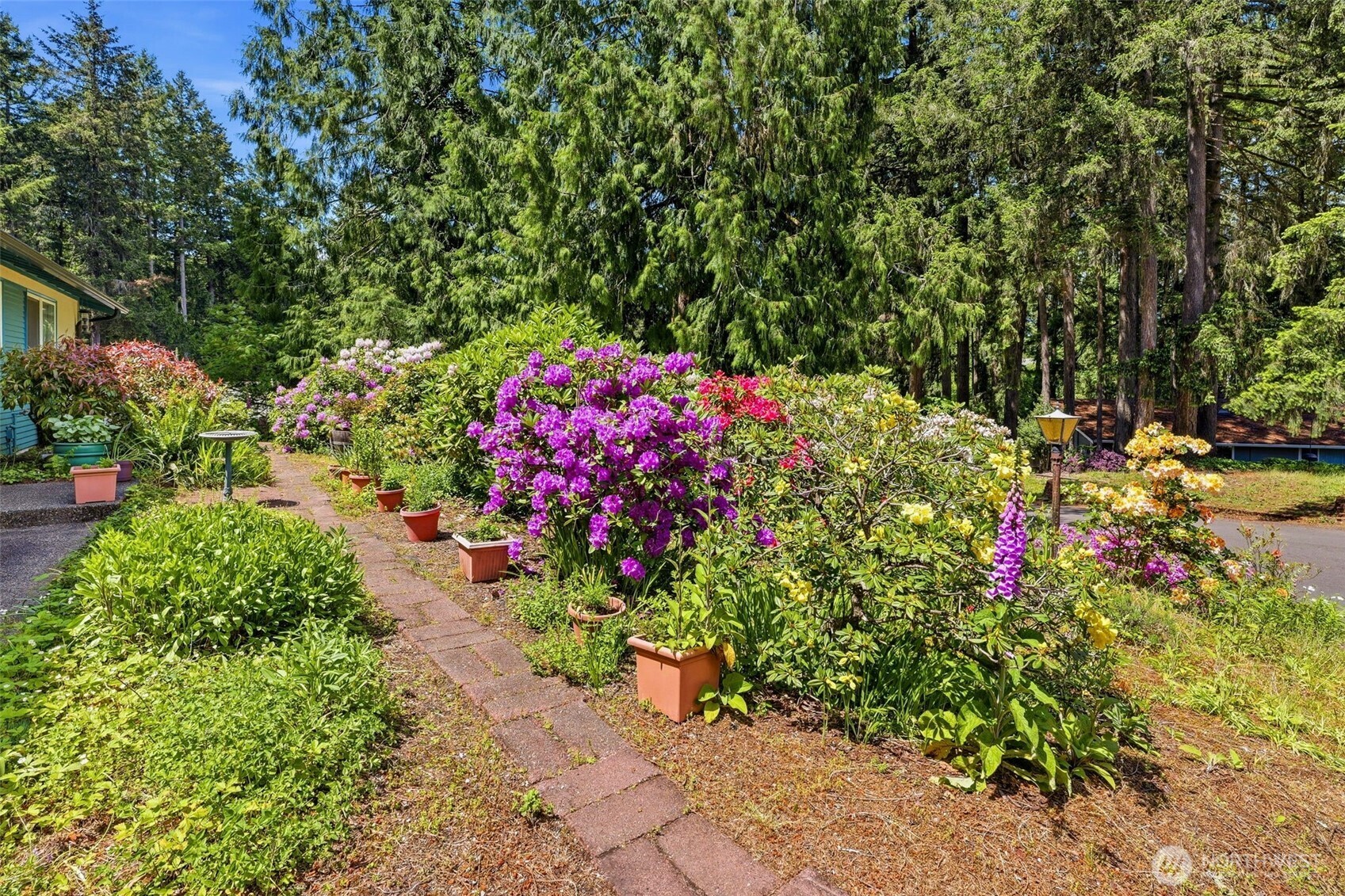 6935 Timberlake Drive SE Lacey WA 98503