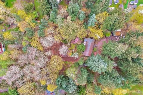 36529 6th Avenue SW Federal Way WA 98023