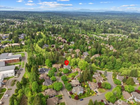 10618 176TH Redmond WA 98052