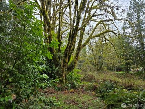 23208 Alder Drive Granite Falls WA 98252