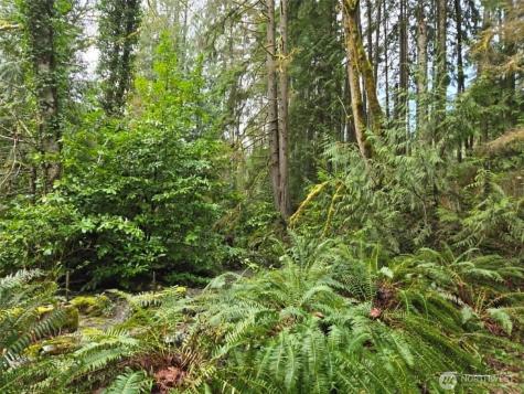 23208 Alder Drive Granite Falls WA 98252