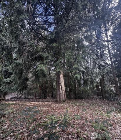 20501 31st Drive SE Bothell WA 98012