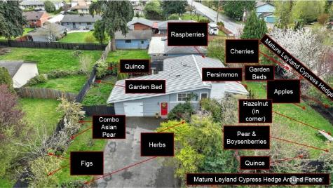 11204 148th Avenue SE Renton WA 98059