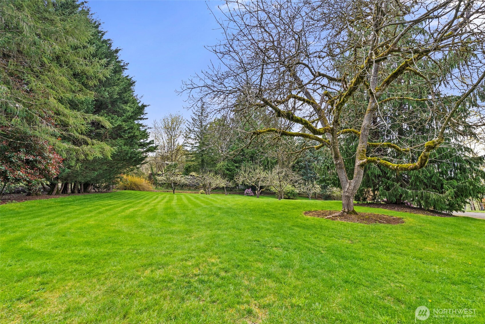 213 Bowen Road Mossyrock WA 98564