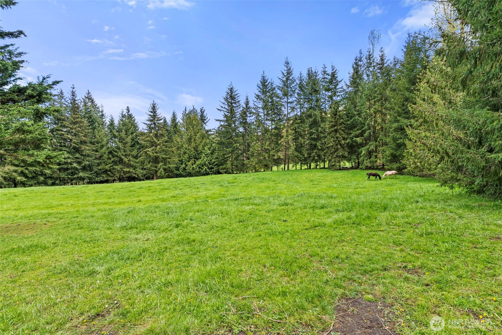 213 Bowen Road Mossyrock WA 98564