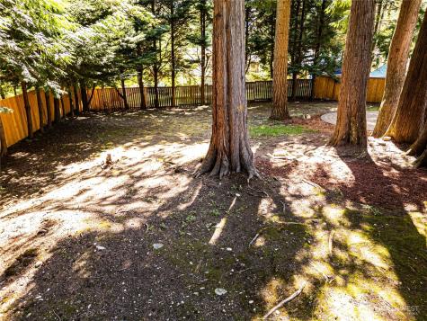22039 NE 15th Street Sammamish WA 98074
