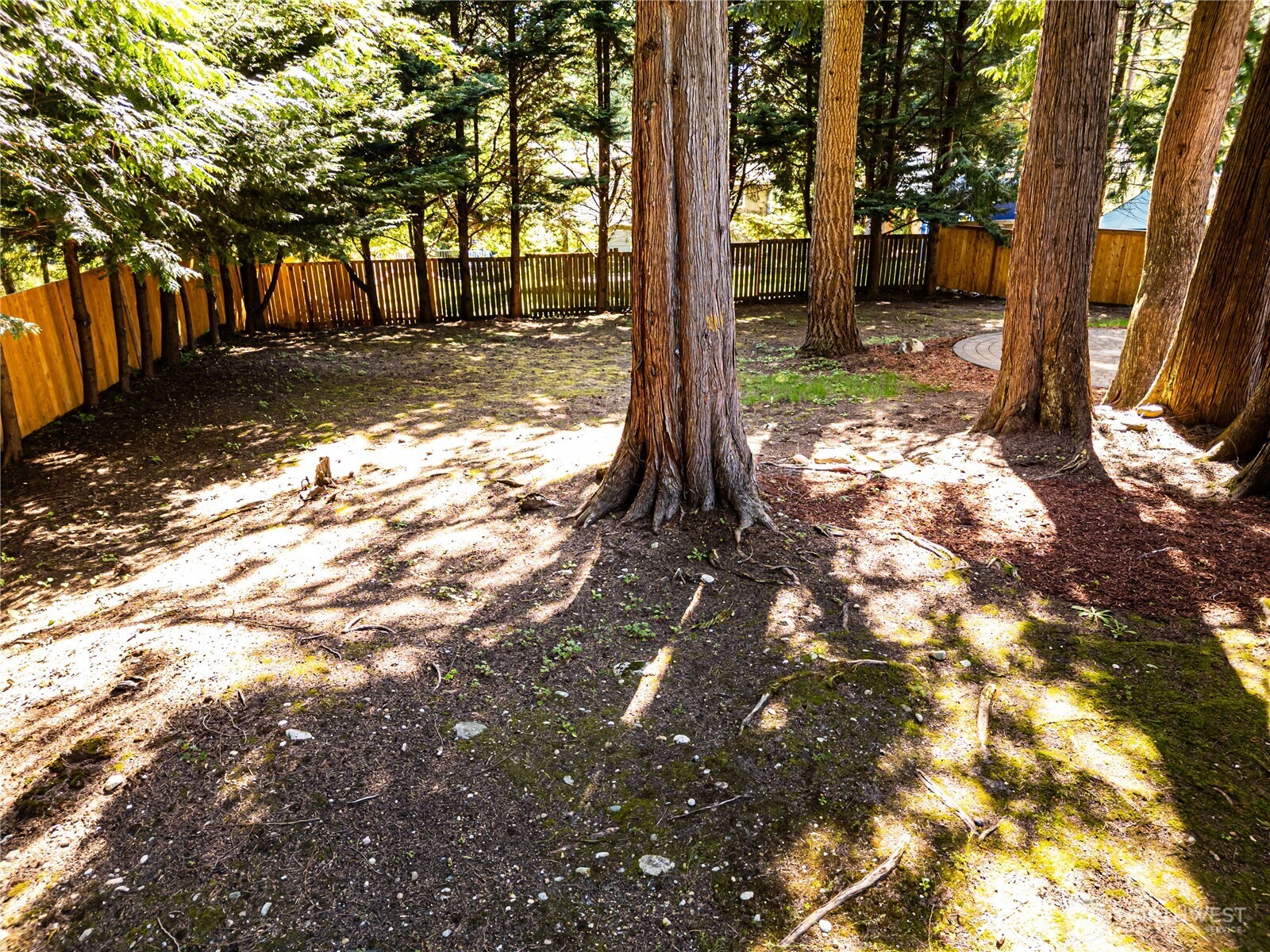 22039 NE 15th Street Sammamish WA 98074