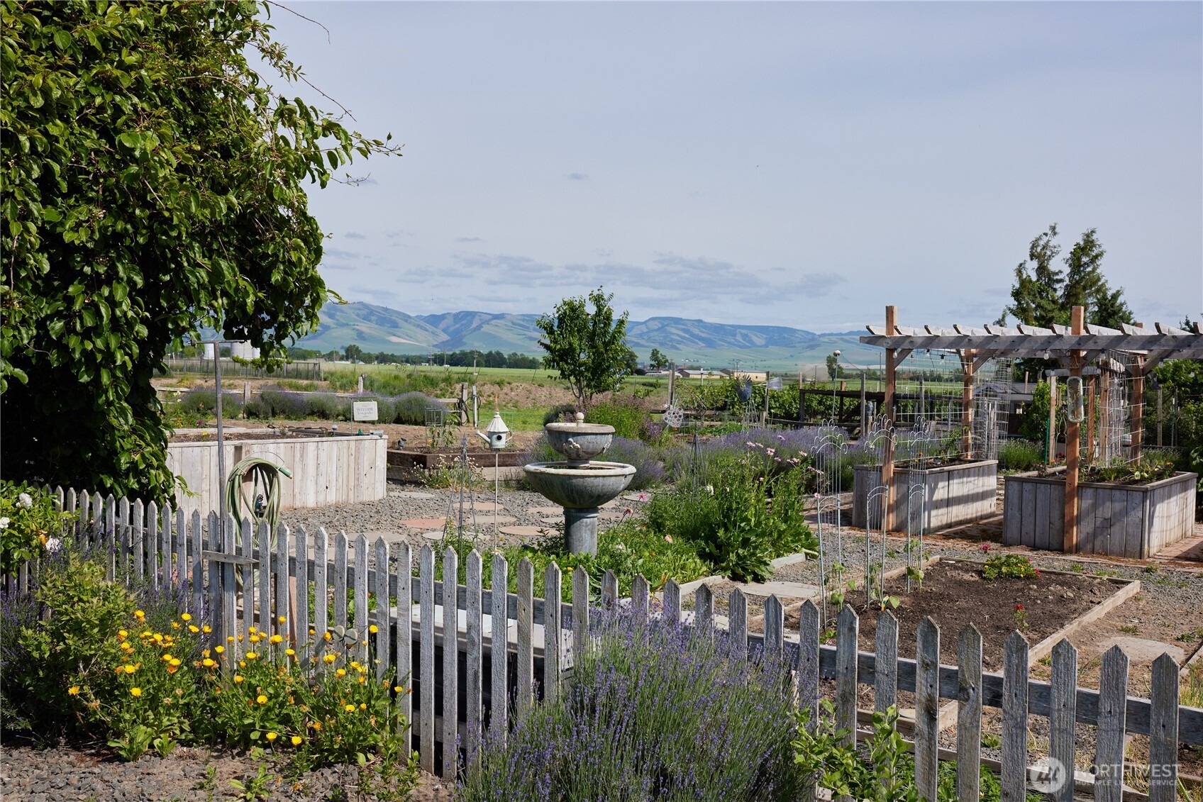 805 Betz Lane Walla Walla WA 99362