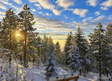 20 Morgan Mountain Trail Tonasket WA 98855
