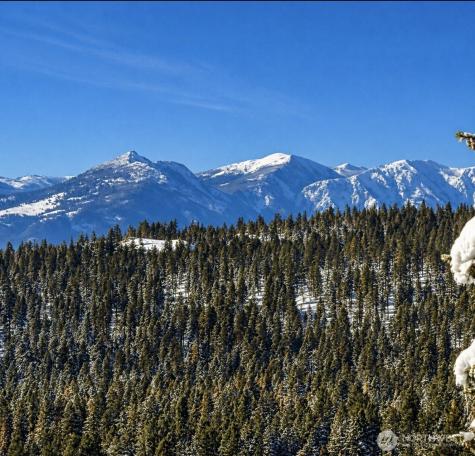 20 Morgan Mountain Trail Tonasket WA 98855