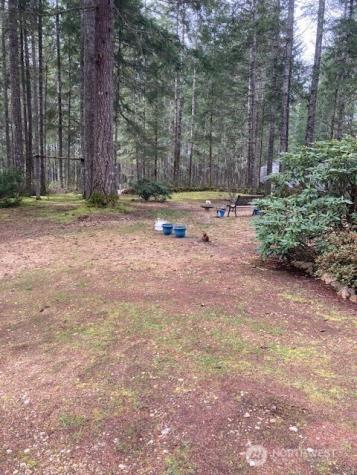 531 N Mountain View Drive Hoodsport WA 98548