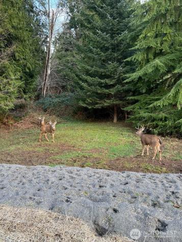 554 Wildwood Drive Sedro Woolley WA 98284