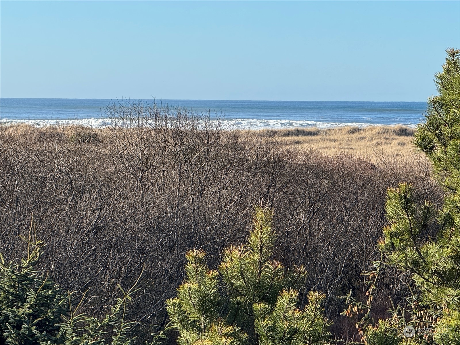 7 Ocean Lane Copalis Beach WA 98535