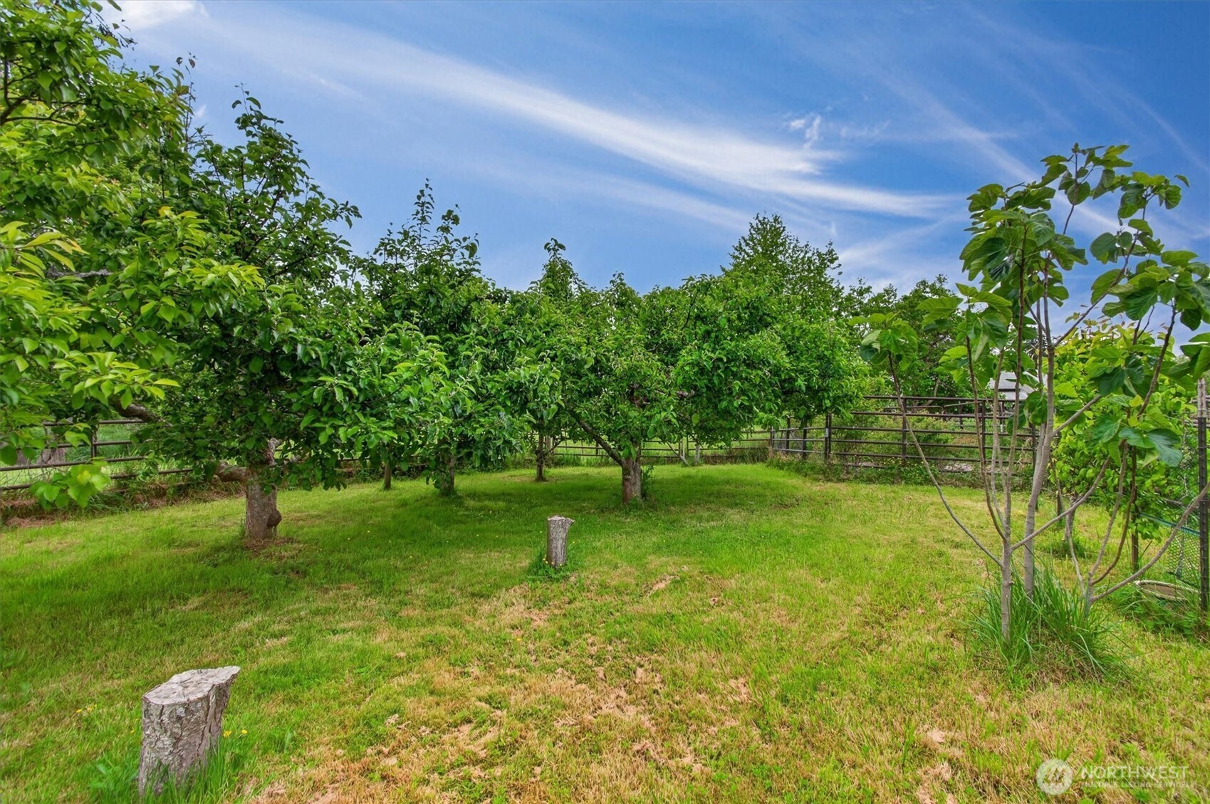 218 W Sunny Sands Road Cathlamet WA 98612