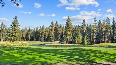 1020 Larkspur Loop Cle Elum WA 98922