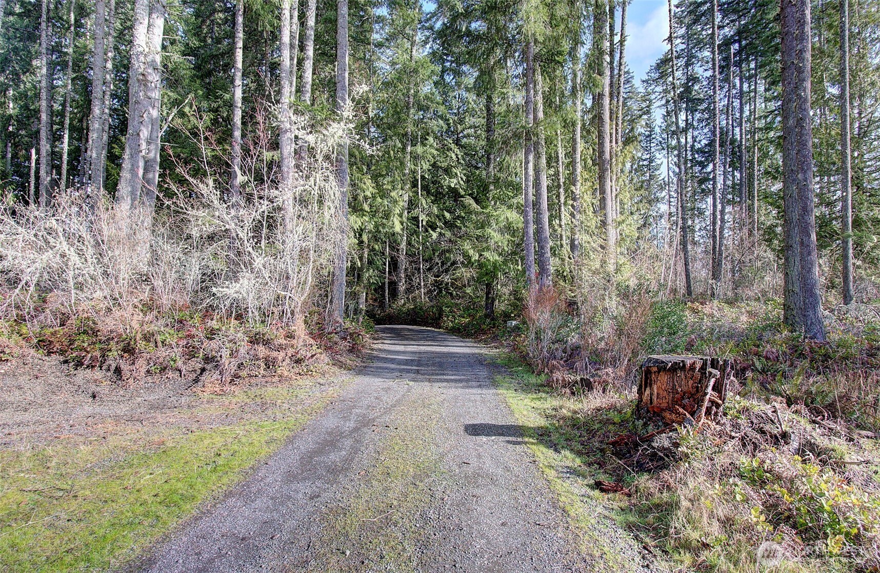 500 S Toutle Road Toutle WA 98649