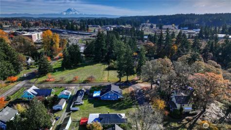 205 Brandywine Avenue Dupont WA 98327