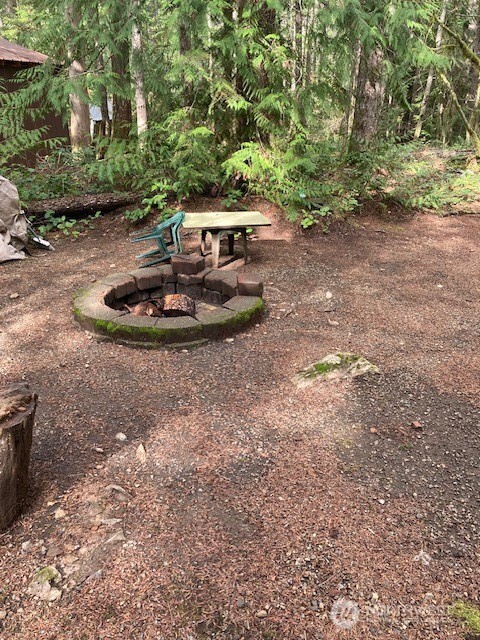 431 N Mt Seattle Way Hoodsport WA 98548