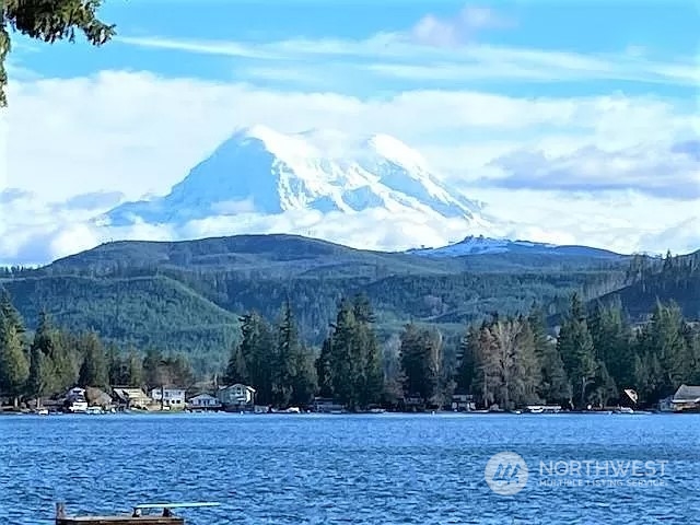 11512 Clear Lake North Road E Eatonville WA 98328