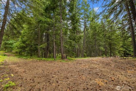 16341 Salmon La Sac Road Ronald WA 98940
