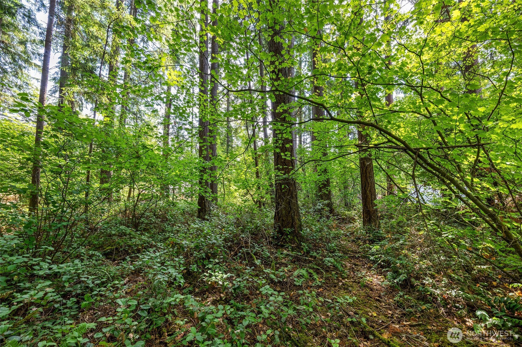 4027 Dent Road SW Olympia WA 98512