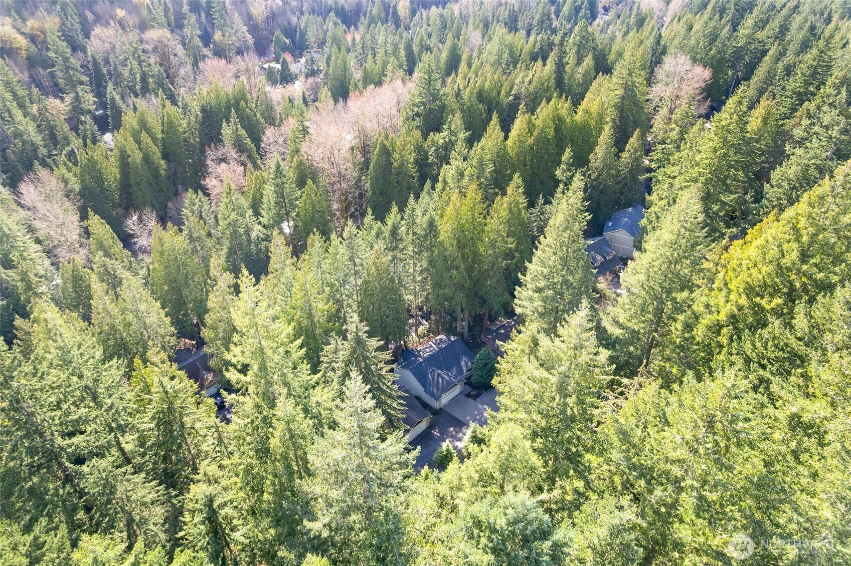 9 Shooting Star Court Bellingham WA 98229