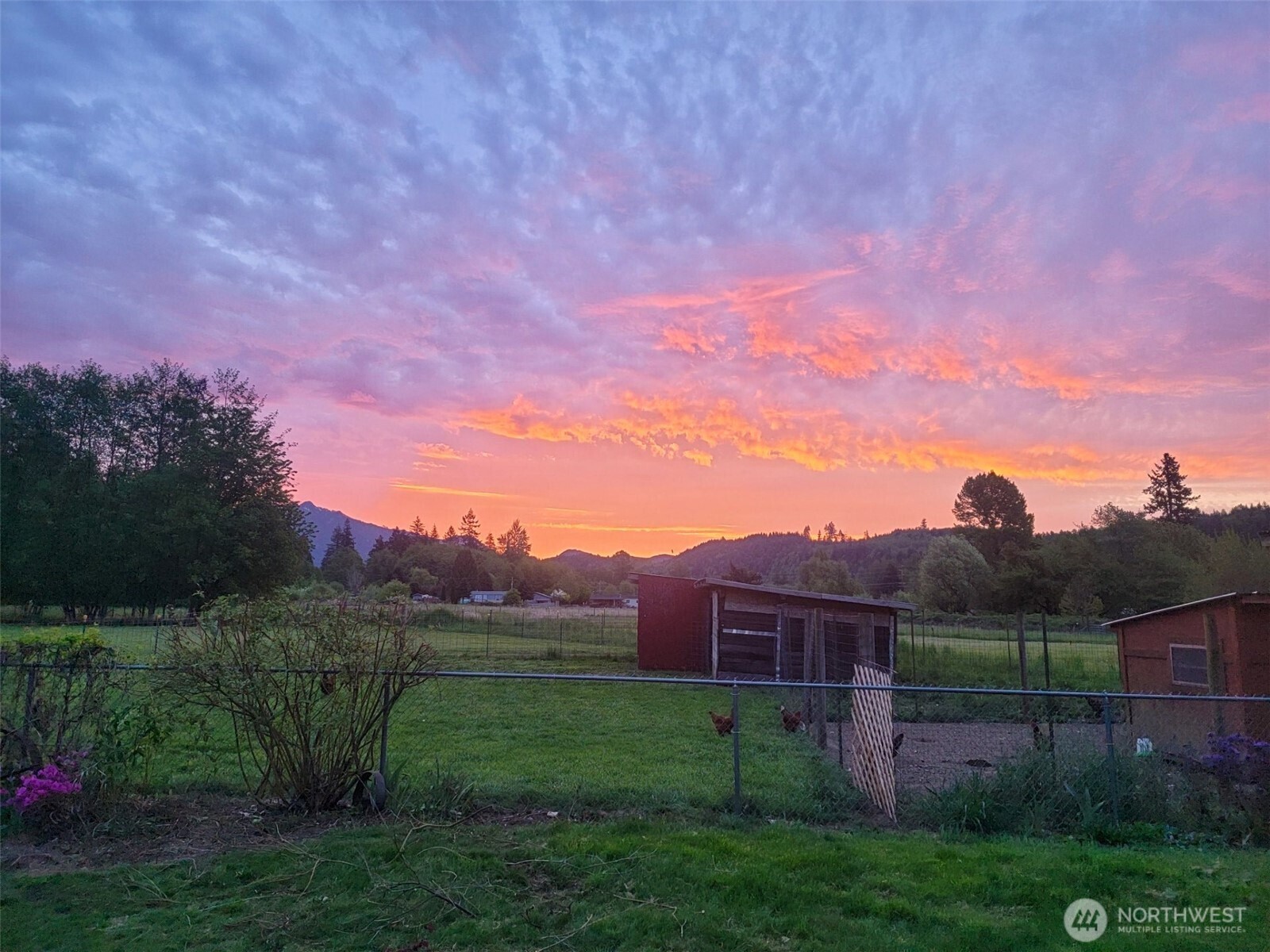 136 Mule Drive Glenoma WA 98336