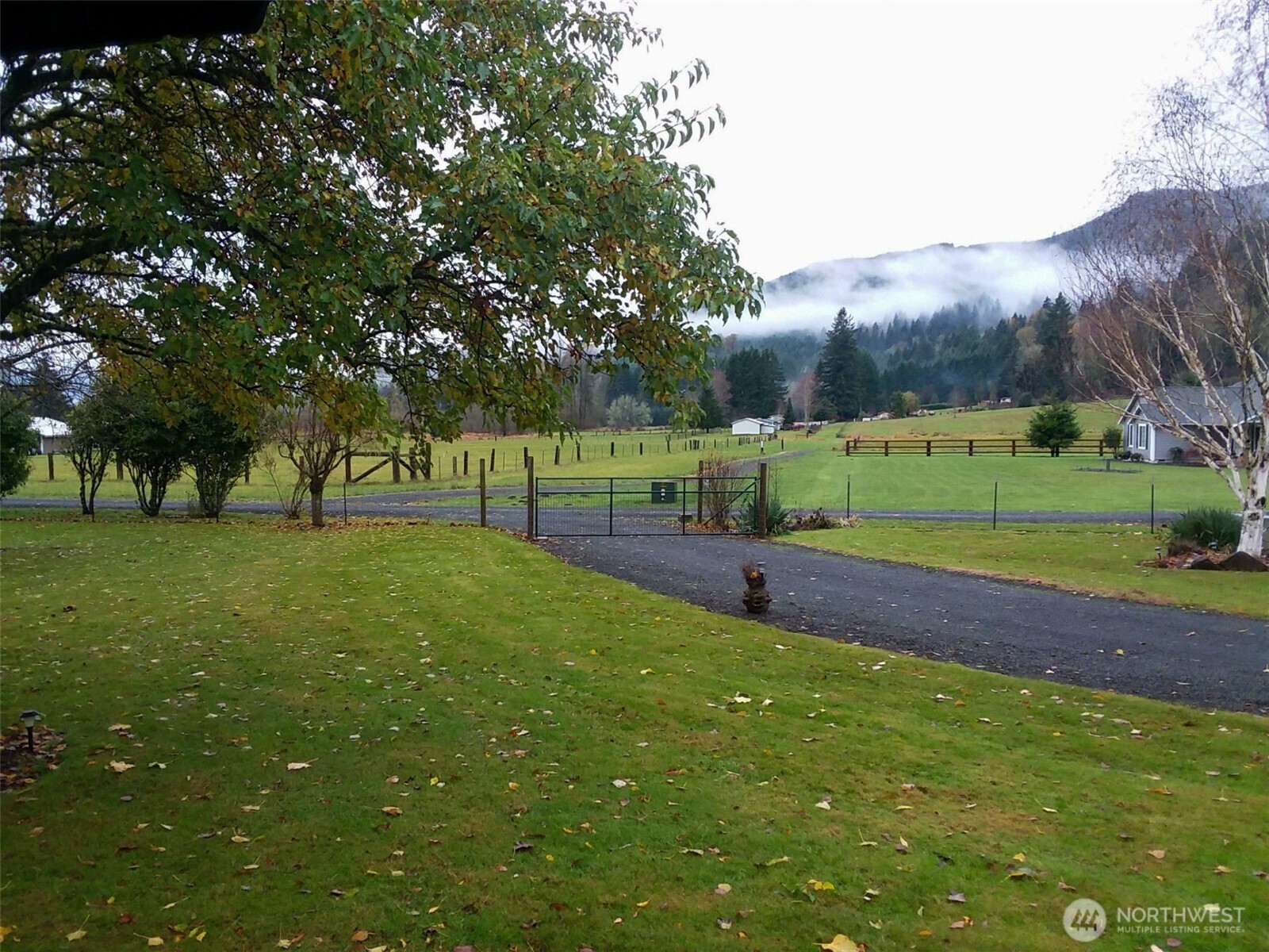 136 Mule Drive Glenoma WA 98336