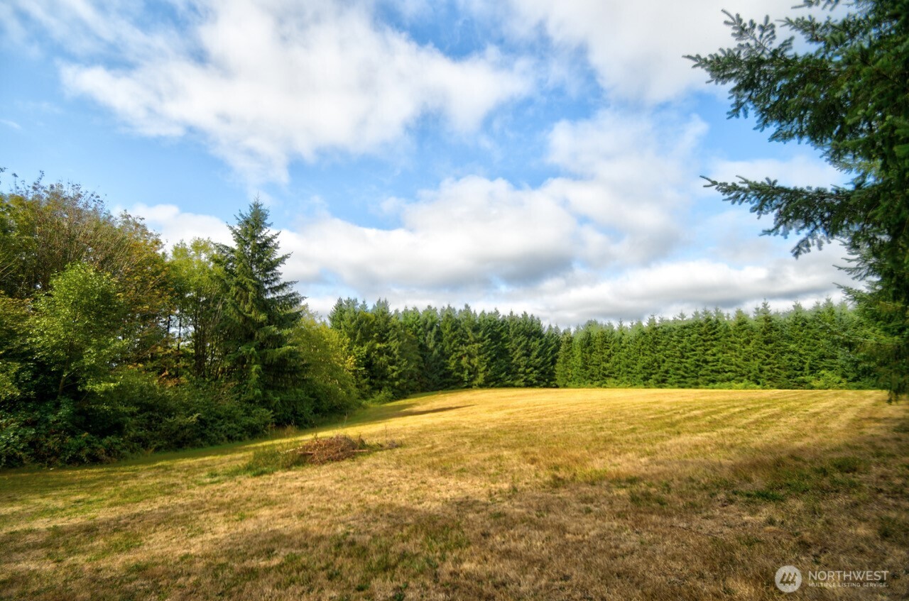 378 Burnt Ridge Road Onalaska WA 98570