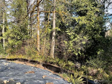 5505 78th Avenue NW Gig Harbor WA 98335