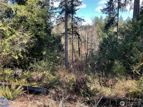 5505 78th Avenue NW Gig Harbor WA 98335