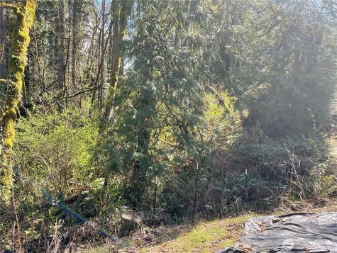 5505 78th Avenue NW Gig Harbor WA 98335