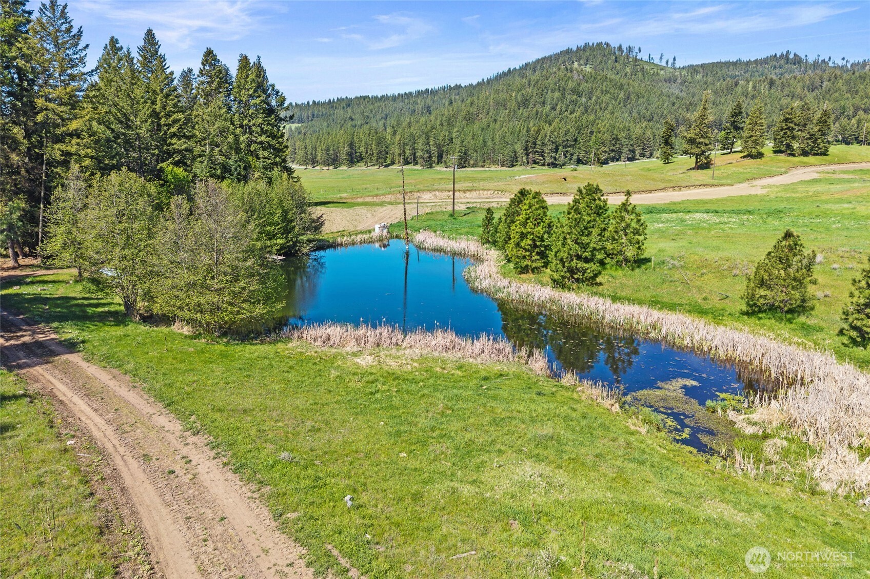 3114 Old Baldy Road Rice WA 99167