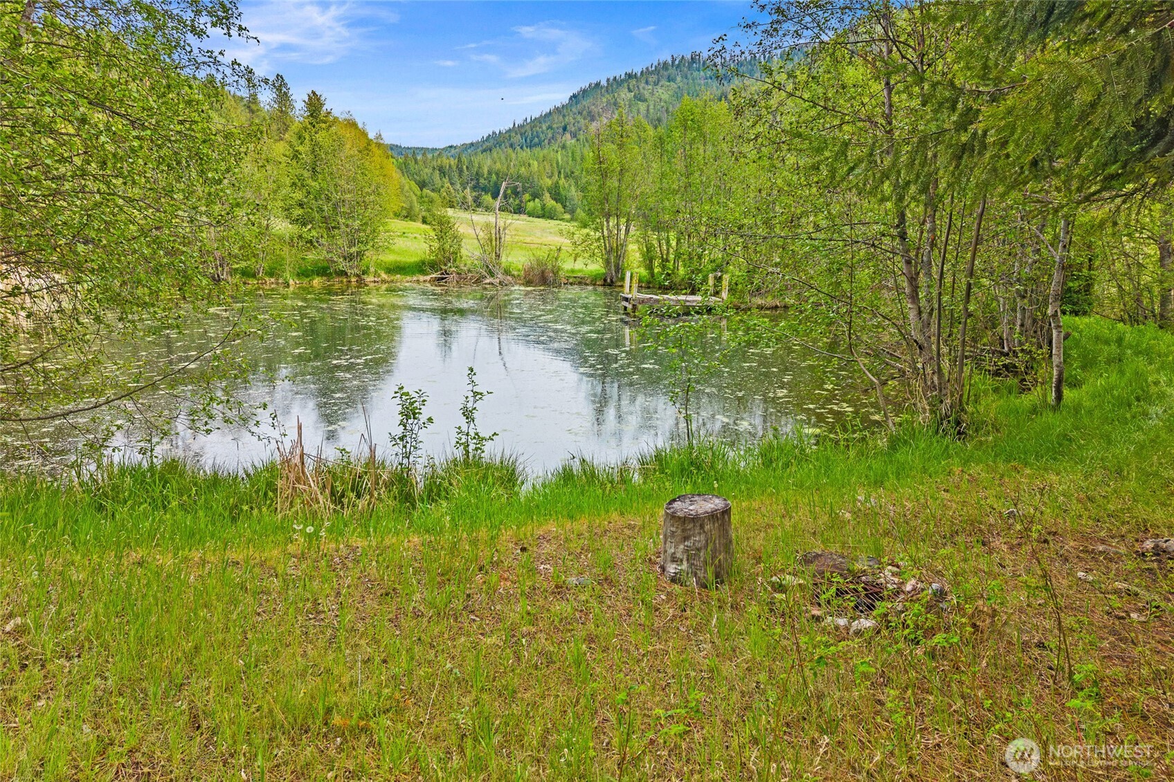 3114 Old Baldy Road Rice WA 99167