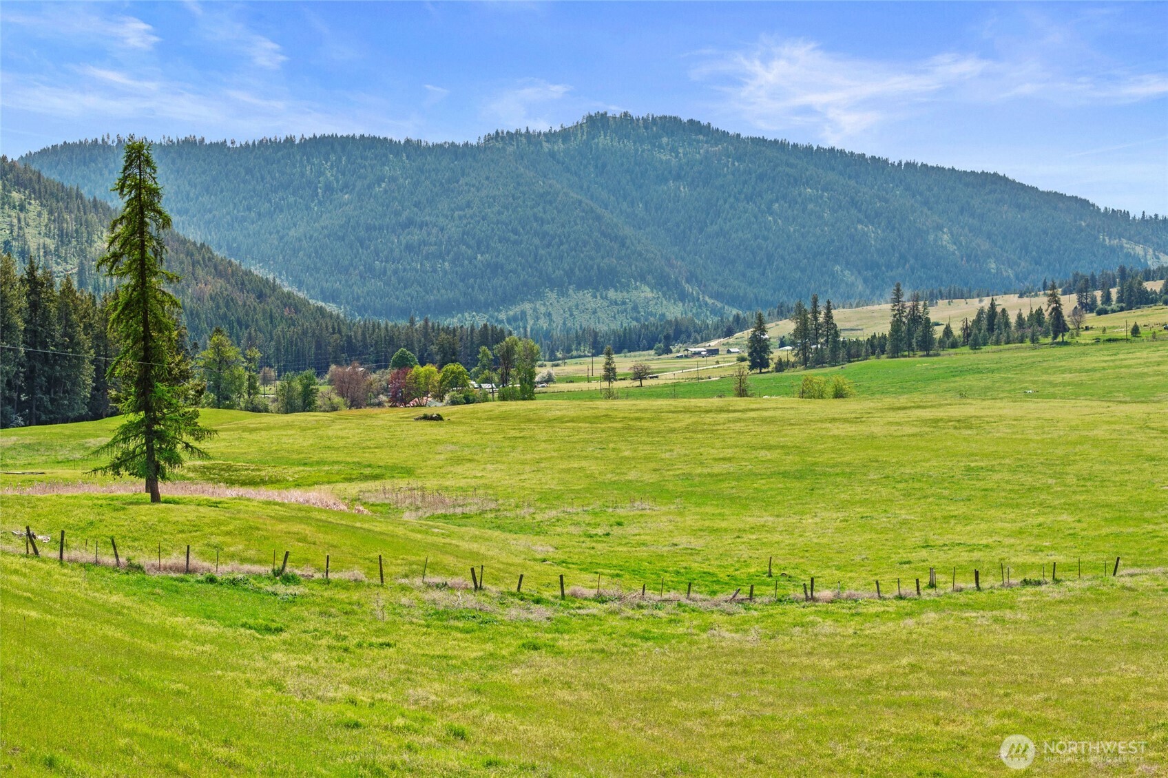 3114 Old Baldy Road Rice WA 99167