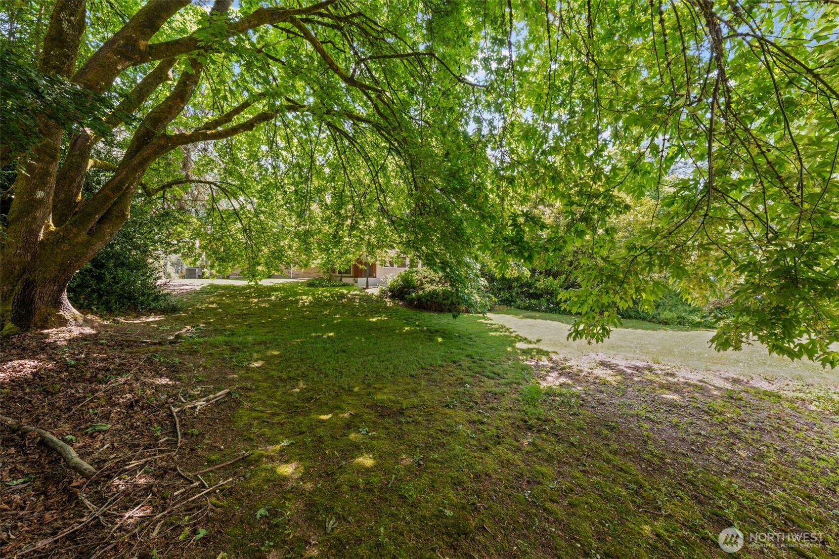 4045 149th Avenue Bellevue WA 98006