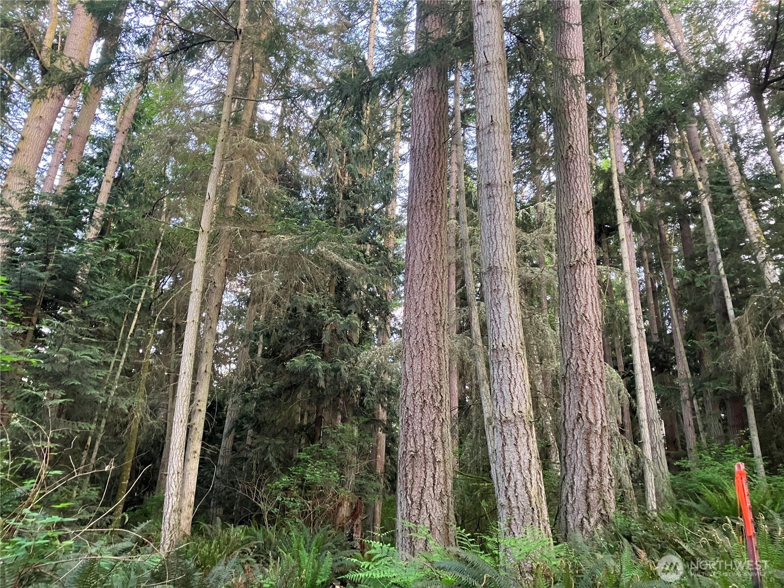 24689 Sr 525 Greenbank WA 98253