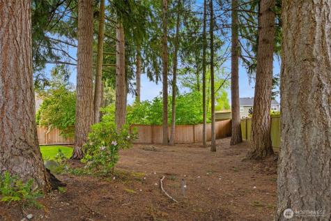 13411 159th Street Ct E Puyallup WA 98374