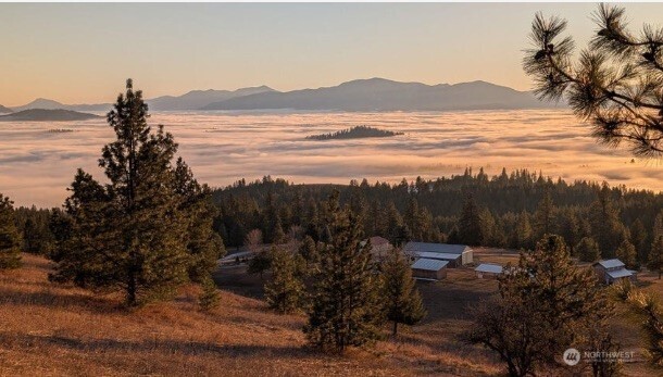 717 Conrad Hill Way Colville WA 99114