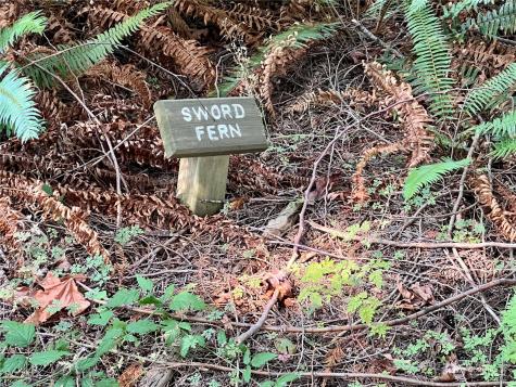 13318 Beverly Park Boulevard Mukilteo WA 98275