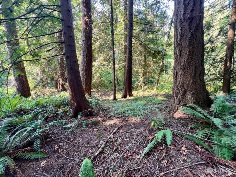 13318 Beverly Park Boulevard Mukilteo WA 98275