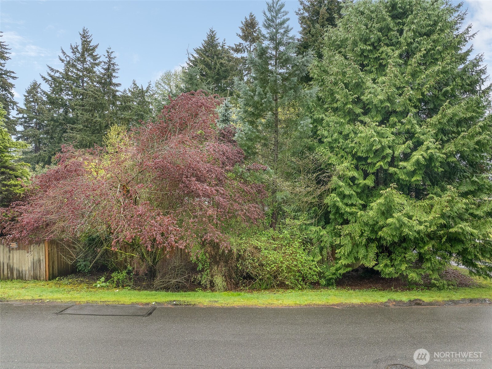 31021 20th Avenue S Federal Way WA 98003