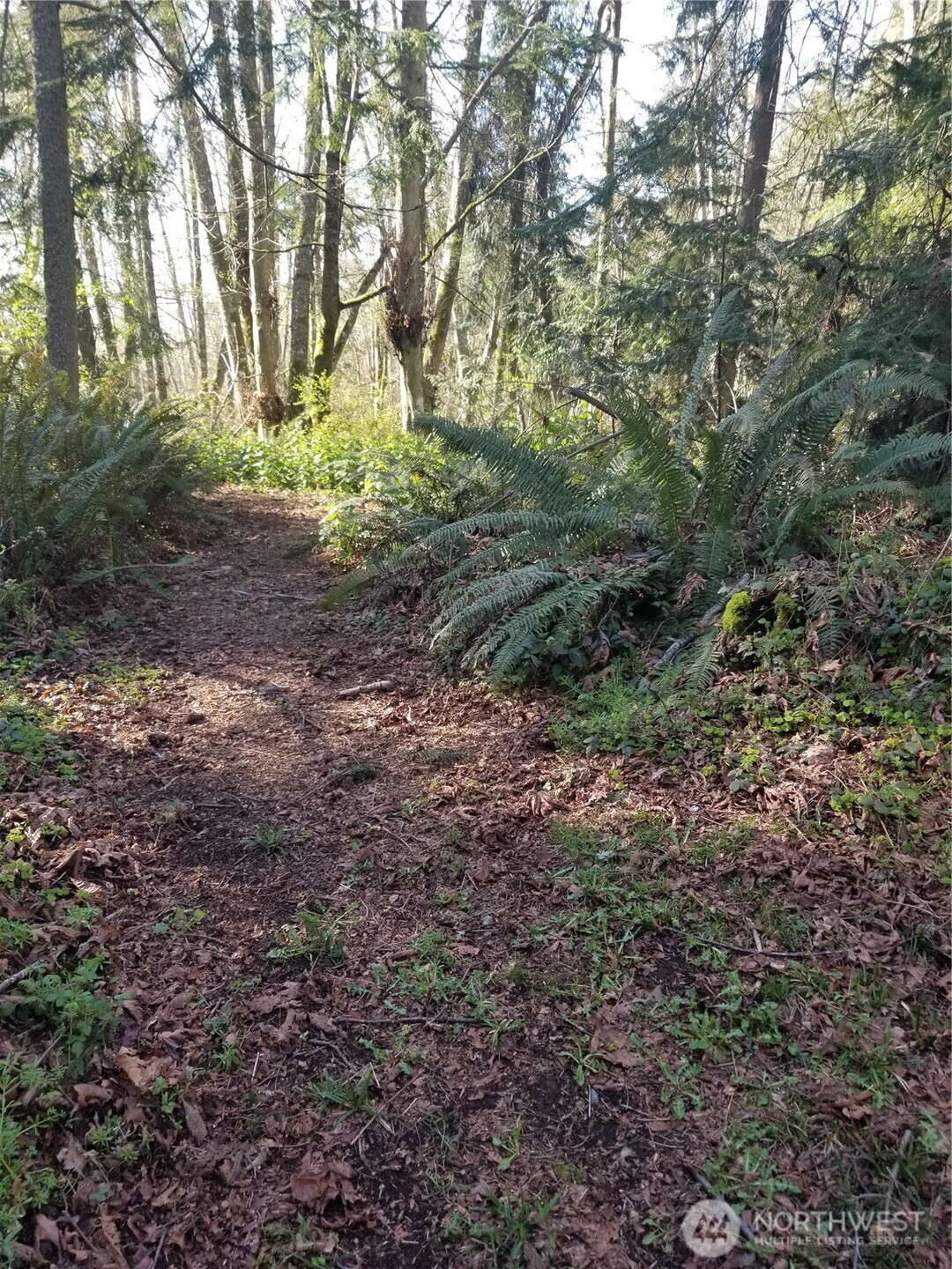 4193 S Camano Drive Camano Island WA 98282
