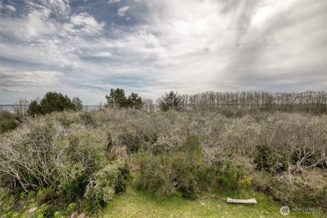 171 Marine View Drive SE Ocean Shores WA 98569