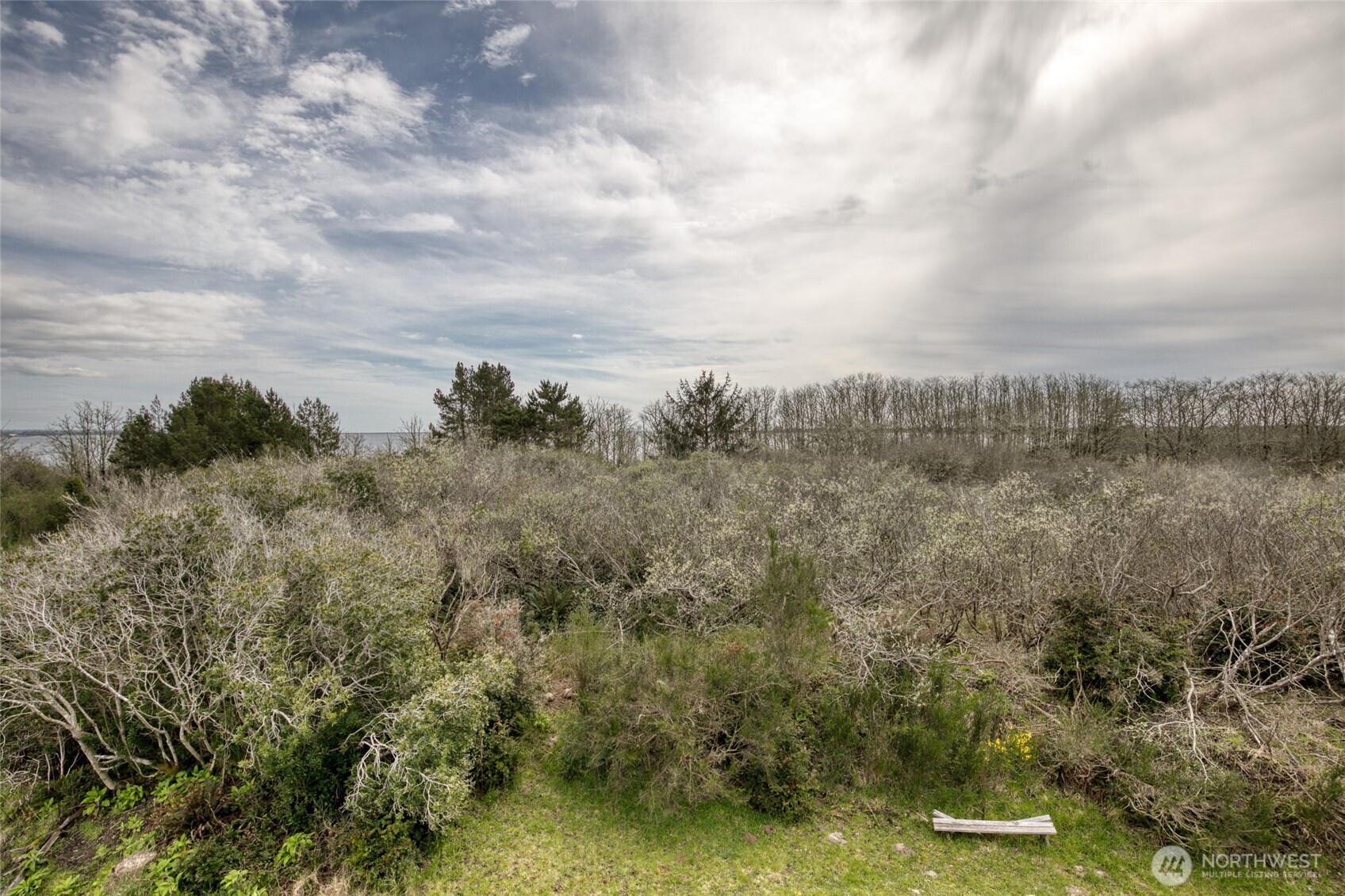 171 Marine View Drive SE Ocean Shores WA 98569