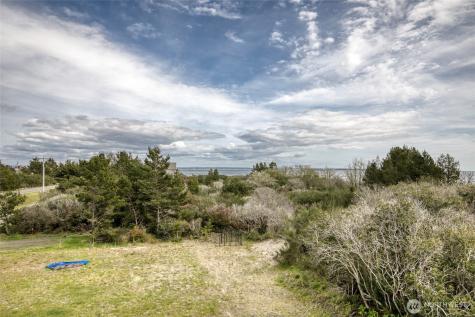 171 Marine View Drive SE Ocean Shores WA 98569
